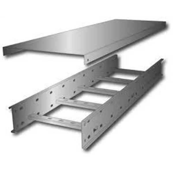 Galvanized 2022 . Cable Tray / Cable Ladder